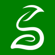 custom_website